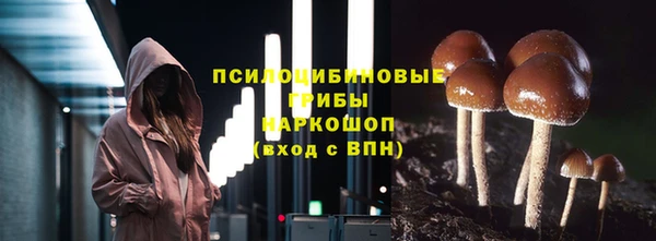 ешки Абинск