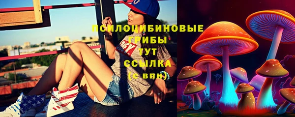 ешки Абинск