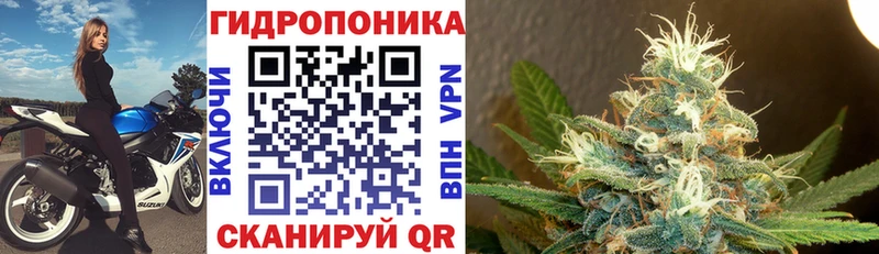 купить   Алатырь  Конопля планчик 